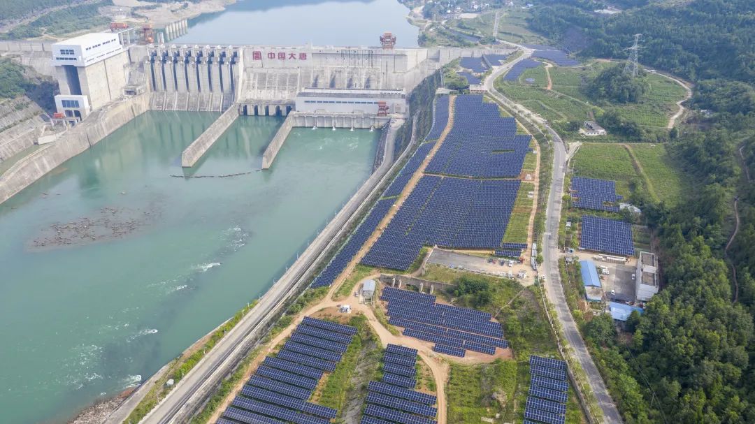 1661155453306033058.jpg 1661155453306033058.jpg