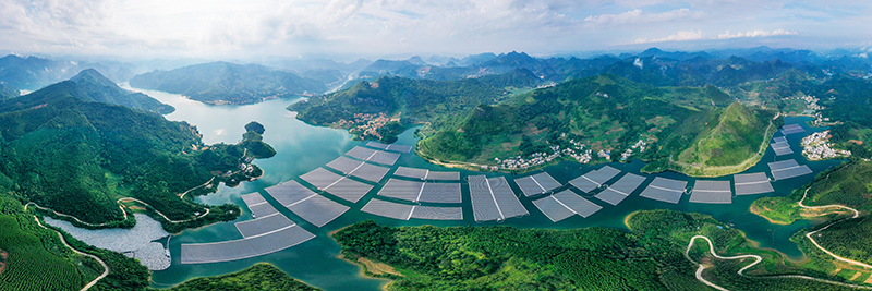 1678100577384076955.jpg 1678100577384076955.jpg